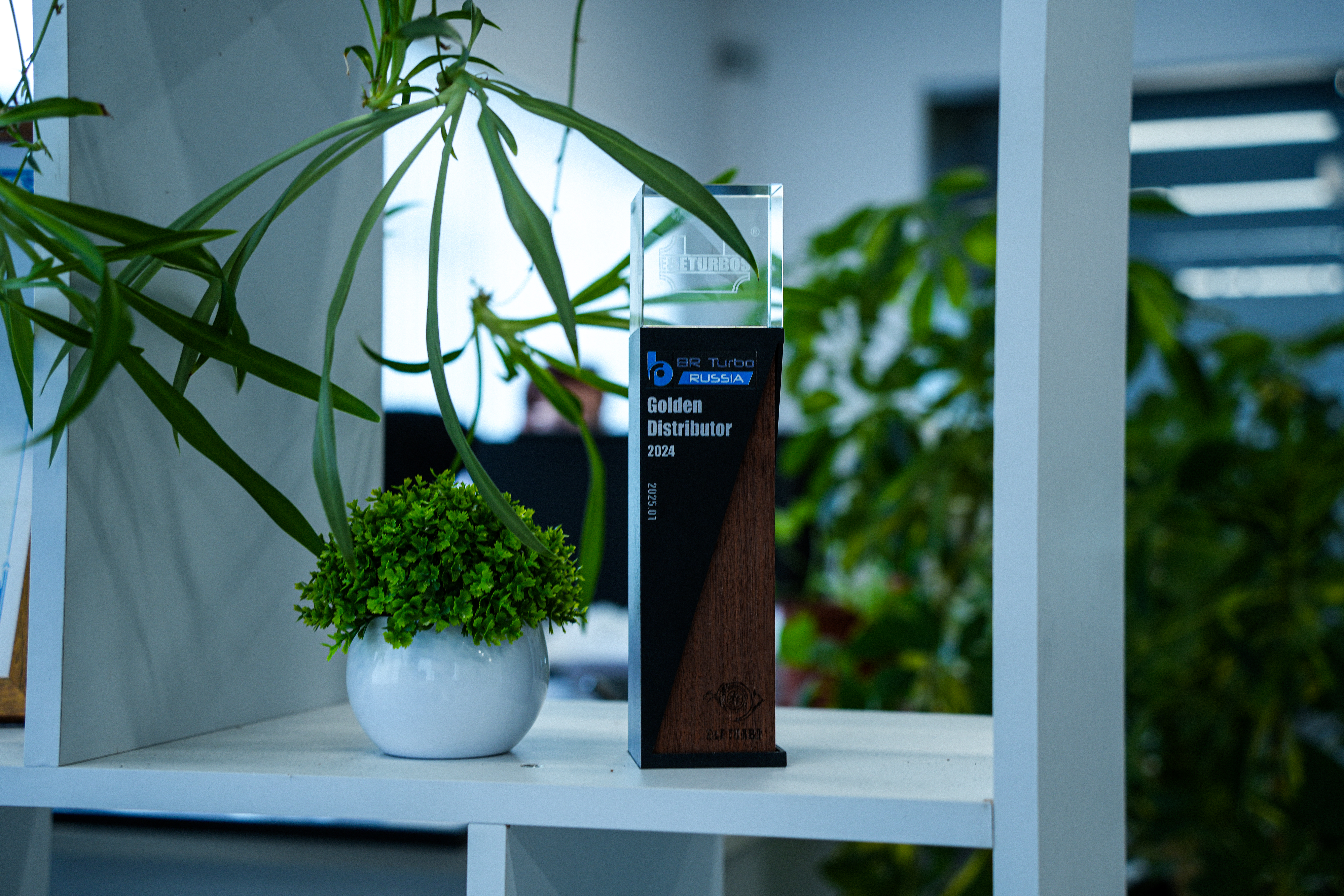 Золотой дистрибьютор E&E за 2024 год